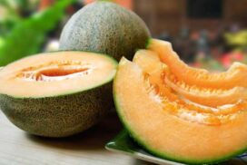 فوائد وأضرار البطيخ الأصفر الصحية