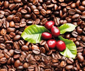 القهوة قد تحد خطر الإصابة بسرطان البروستاتا