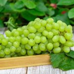 فوائد العنب الأخضر للحامل