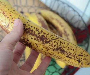قشور الموز المتعفنة لعلاج سرطان الجلد