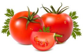 الطماطم تقلل خطر الإصابة بسرطان الرئة