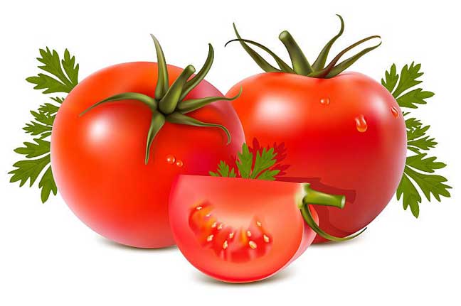 الطماطم تقلل خطر الإصابة بسرطان الرئة