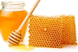 العسل دواء ومطهر للجروح