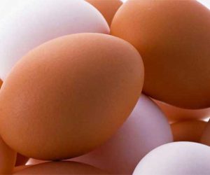 البيض يحمي السيدات من سرطان الثدي