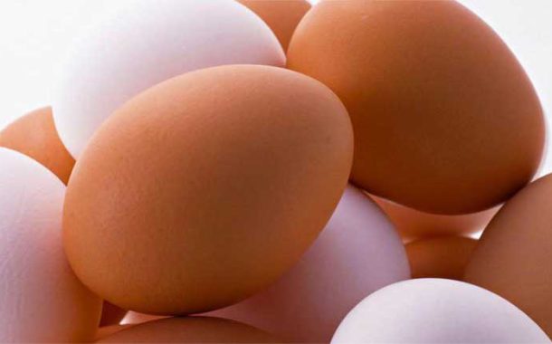 البيض يحمي السيدات من سرطان الثدي