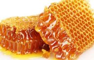 العسل يدعم المناعة