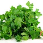 البقدونس يعجل بآلام الولادة البقدونس-يعجل-بآلام-الولادة