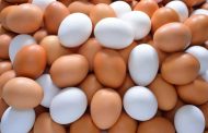 البيض يقلل خطر الإصابة بسرطان الثدي والزبدة تزيده