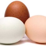 البيض-مصدر-غذائي-مضطهد