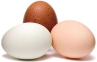 البيض : مصدر غذائي مضطهد