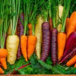 الجزر-يعالج-حالات-فقر-الدم