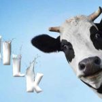 الحليب-ضد-سرطان-الثدي