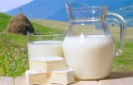 شرب الحليب يخفف من البدانة ؟