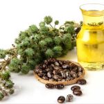 زيت-الخروع