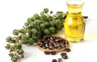 فوائد زيت الخروع الصحية
