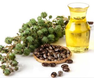 فوائد زيت الخروع الصحية