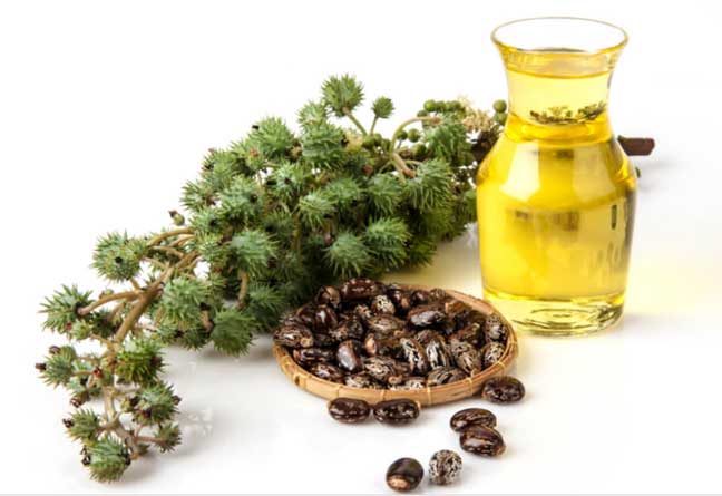 فوائد زيت الخروع الصحية